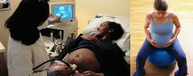 Dr F Tshivhula - 015 291 4310 - Free Wi-fi available